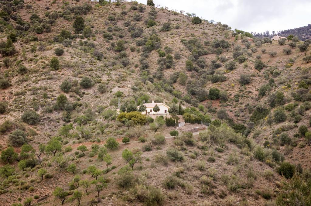 Rural Montes Malaga: Finca Pedregales Pokój zdjęcie